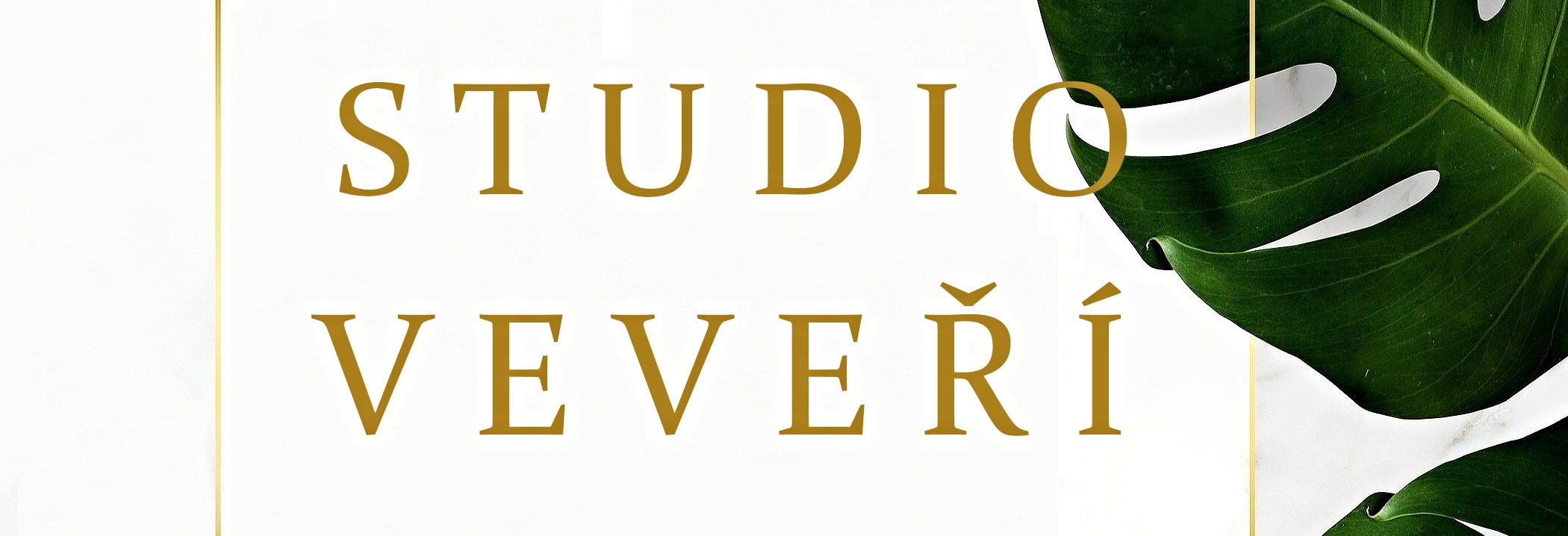 studio veveří